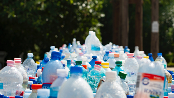 plastic bottles lined up vs trendy water bottle