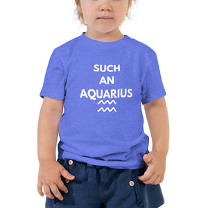 The Stars are Aligned | Aquarius | Toddler Short Sleeve Tee (January 20 - February 18)