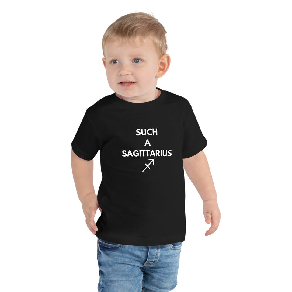 The Stars are Aligned | Sagittarius | Toddler Short Sleeve Tee (November 22 - December 21)